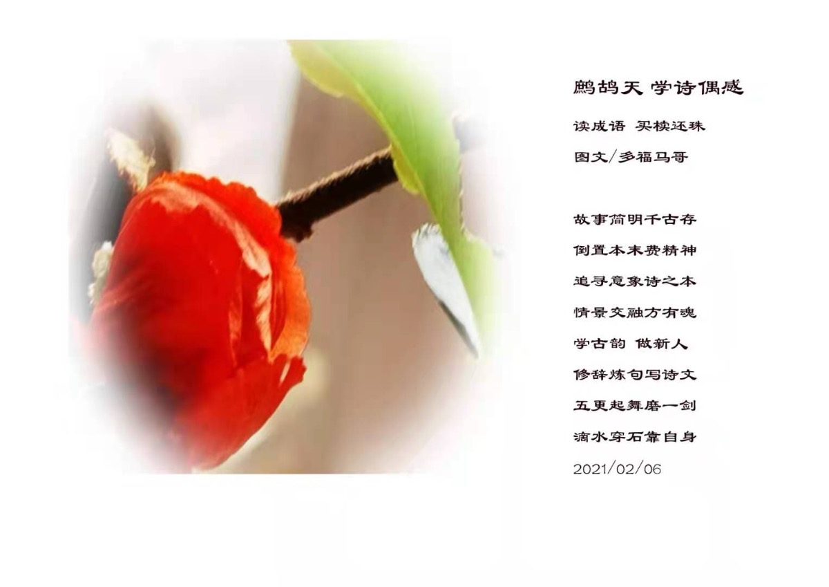D51FBF2C-5AB2-432F-A53D-CD38E773FE1D.jpeg