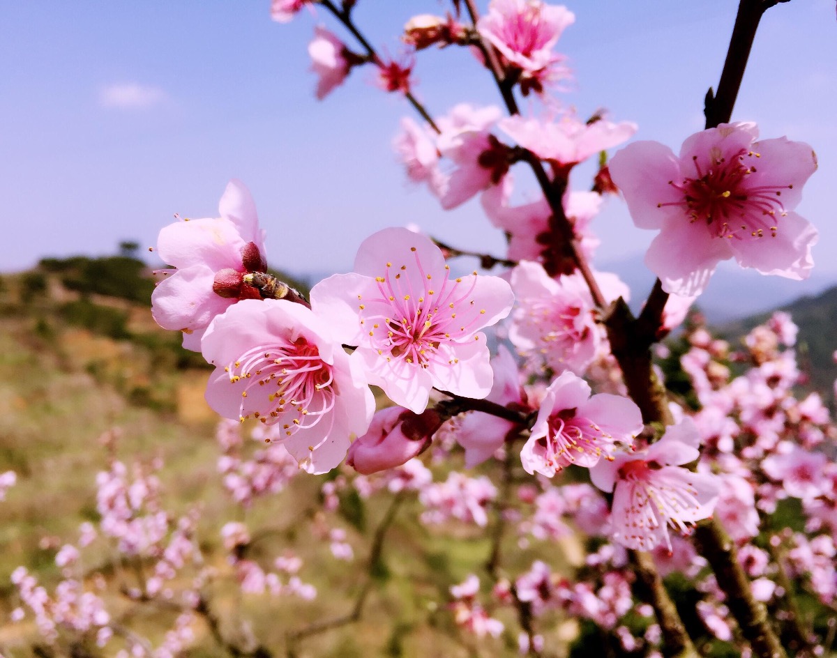 B5CF6303-B1FE-4E2A-B94E-4EEB50E1844A.jpeg
