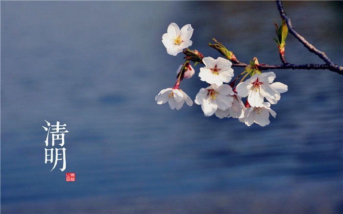 qingming5.jpg