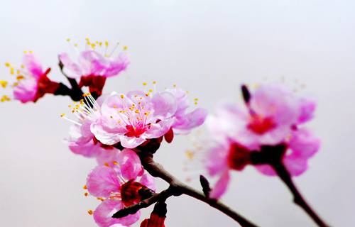 8图片_20220410150807.jpg