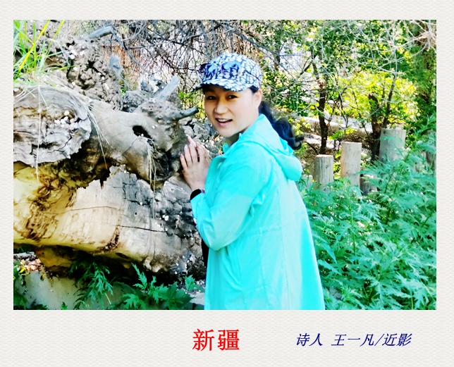 诗人王一凡.jpg