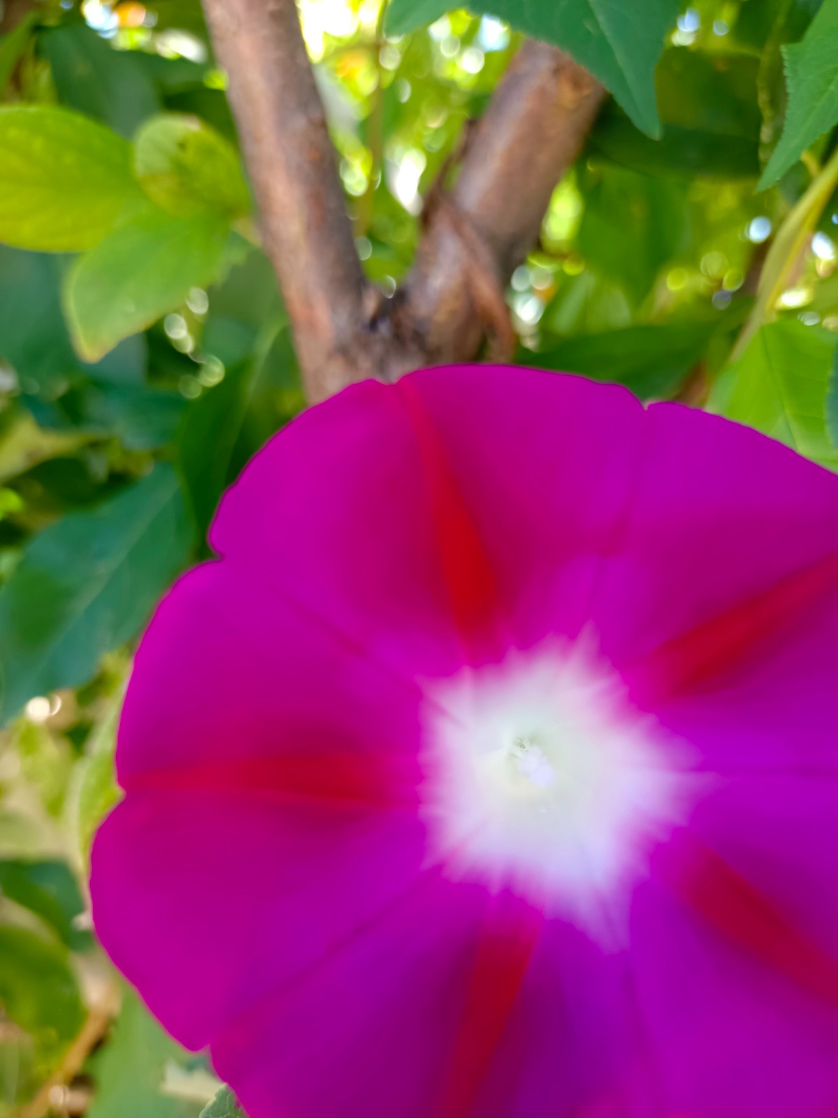 IMG_20220901_113950.jpg
