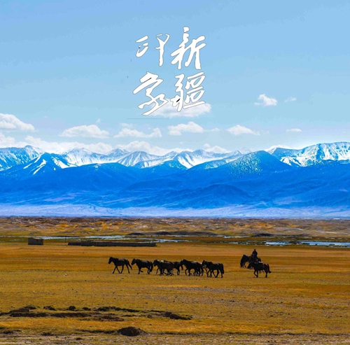 微信图片_20221106155324.jpg