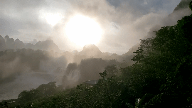 mmexport1691801338153_1.gif