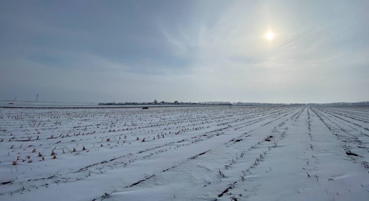 0569B004-A177-403F-9962-CEFDB5D672A8.jpeg