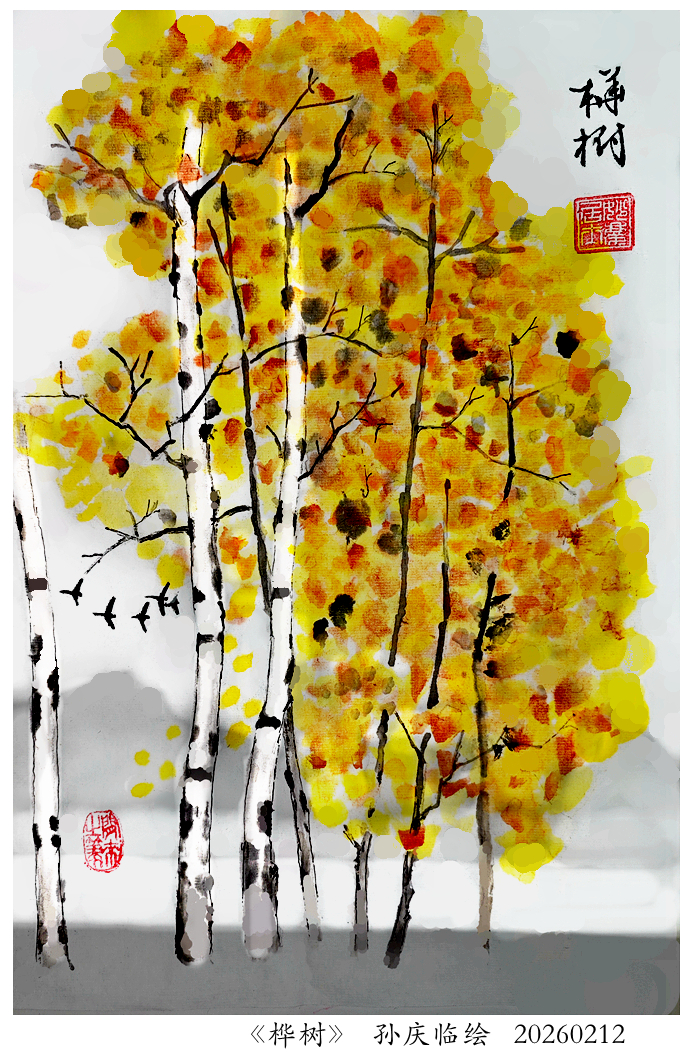 260224-桦树.jpg