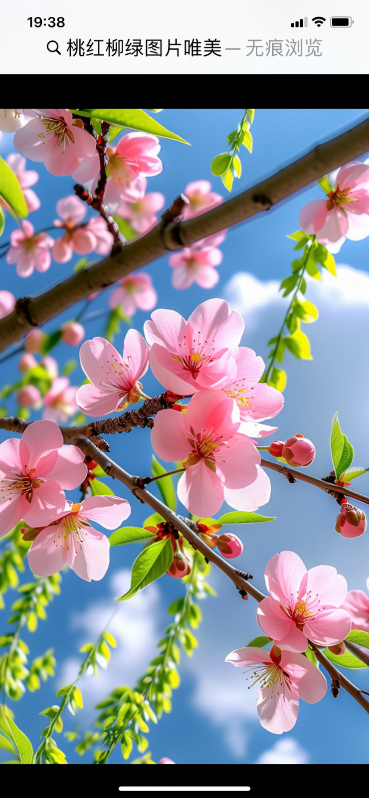 4AB33917-5C0B-4B25-8EDF-0F502779E1D1.png