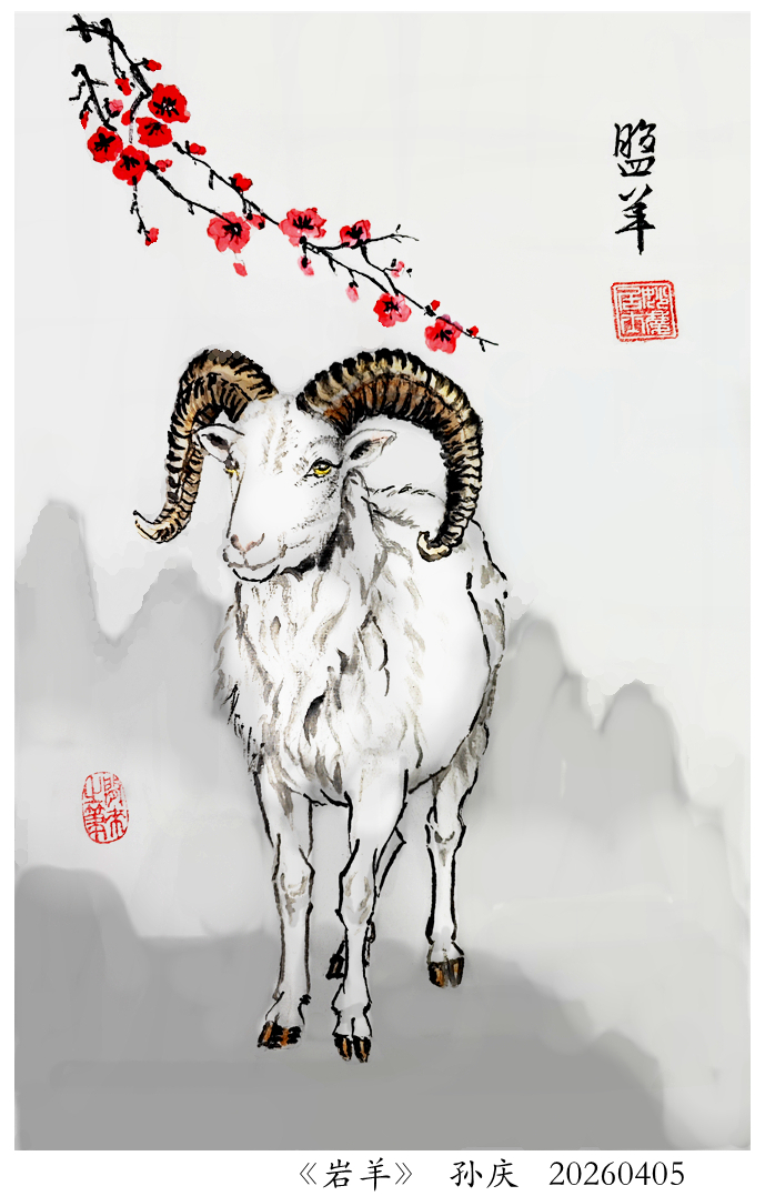 260422-岩羊.jpg
