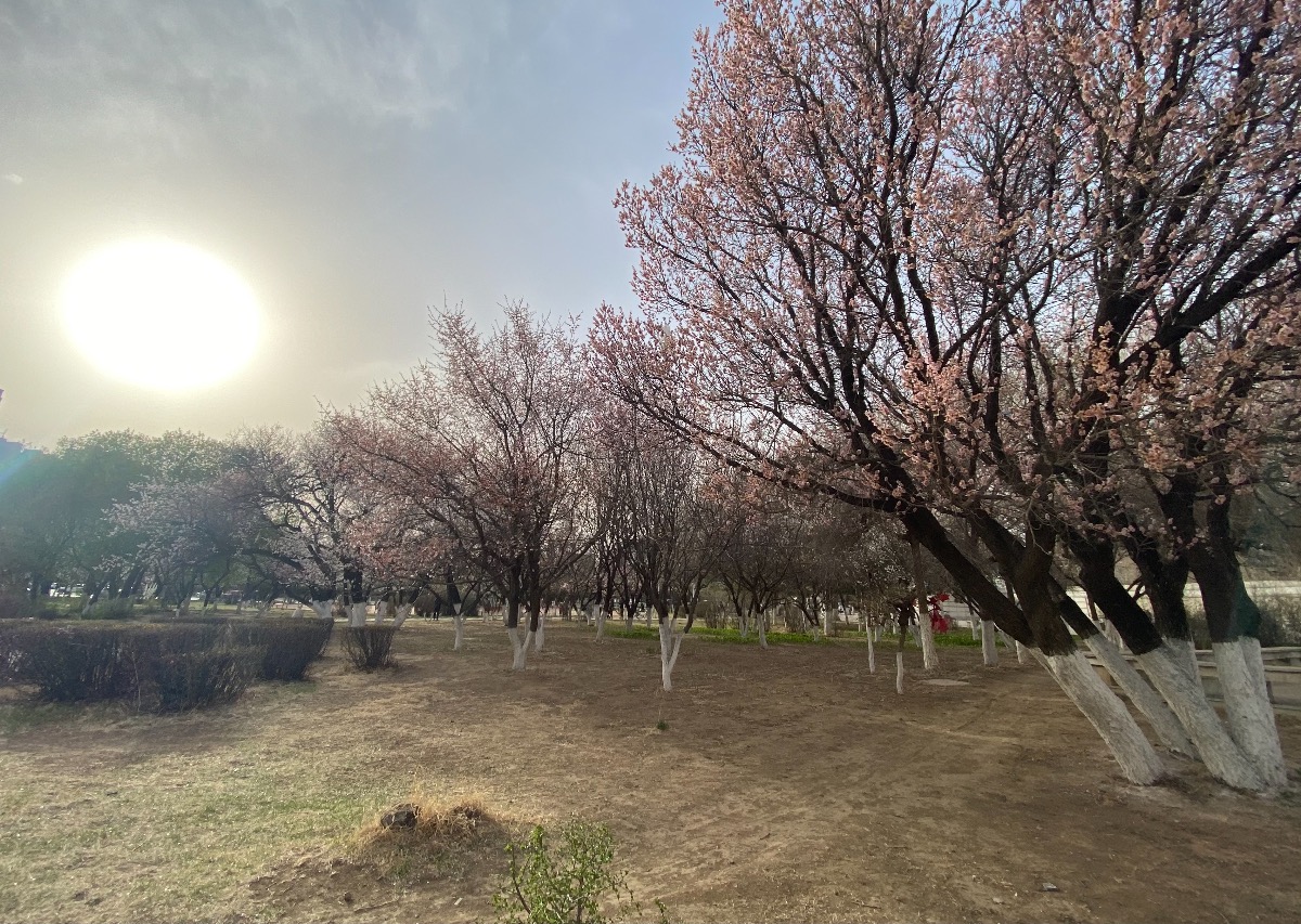 EE5A0B32-5FA5-464B-86EF-C630A79D507E.jpeg
