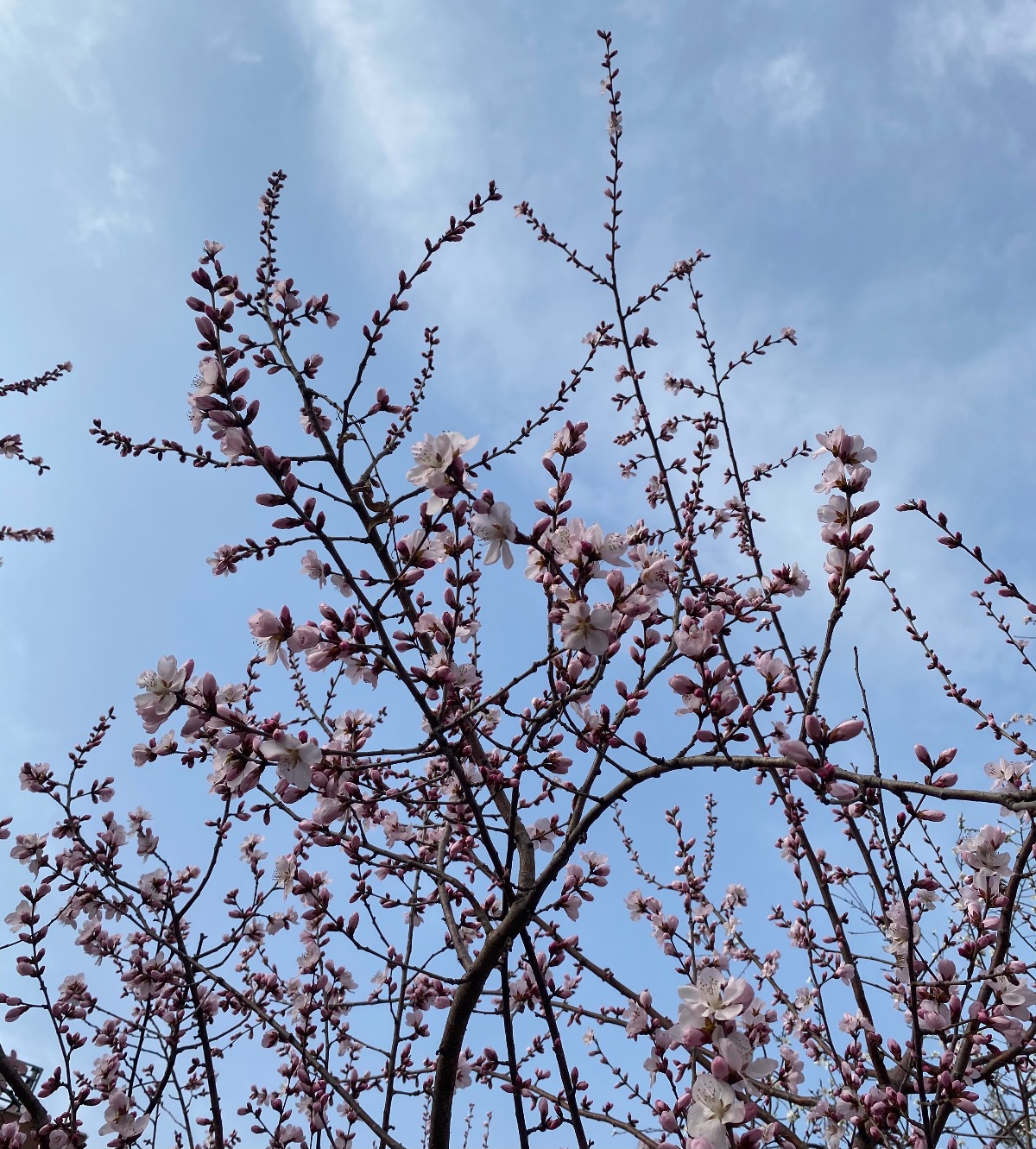 82D219B5-7EE9-4B15-B09D-229793227C1E.jpeg