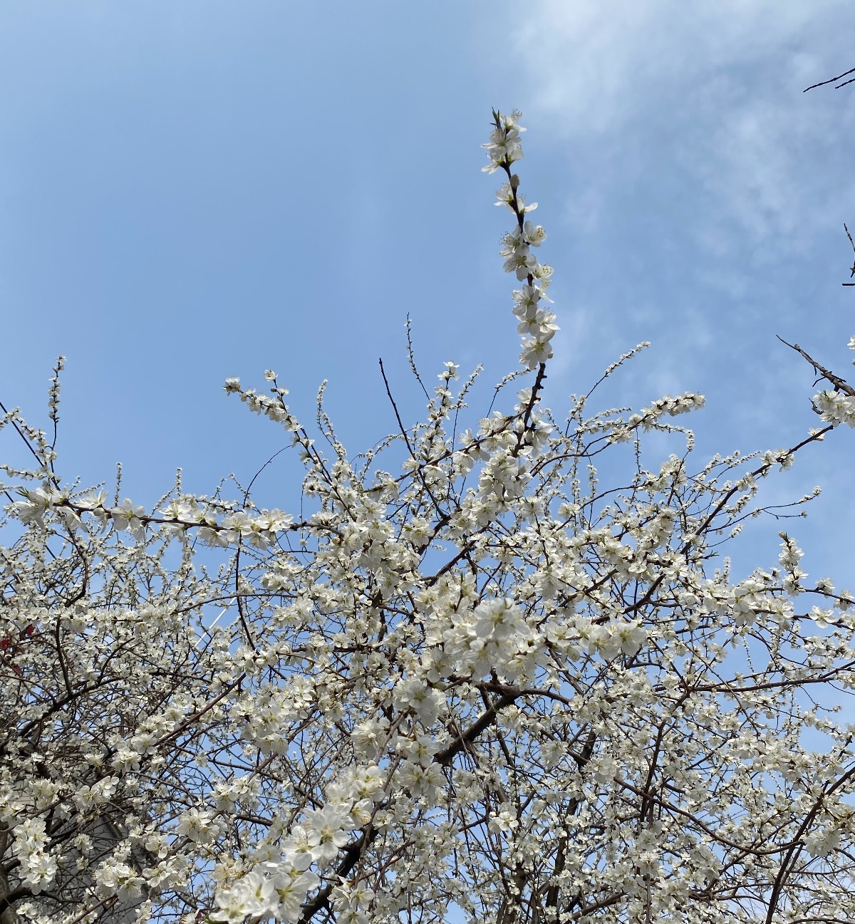 28F8B092-731D-46B7-BDD9-F86879378A6A.jpeg