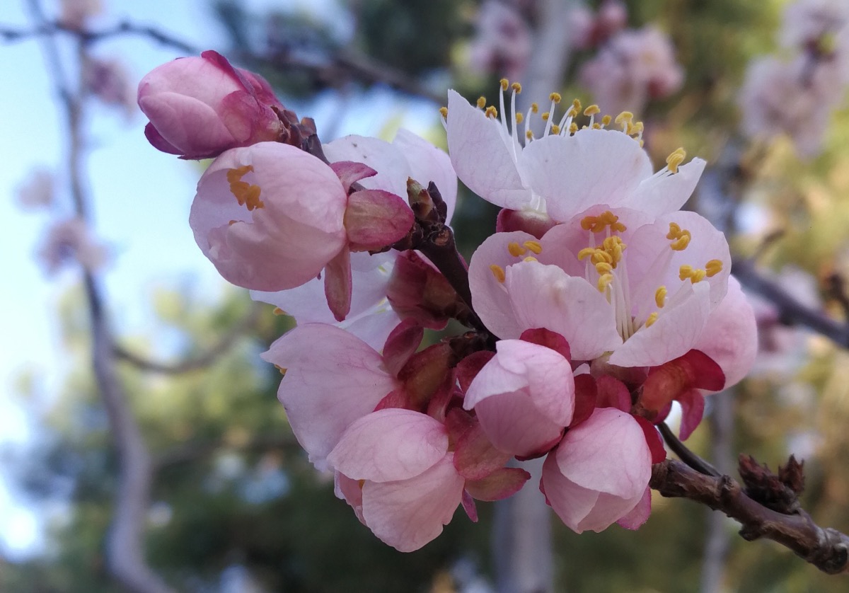 B37AA925-9033-43CF-884E-AC2243D1552B.jpeg