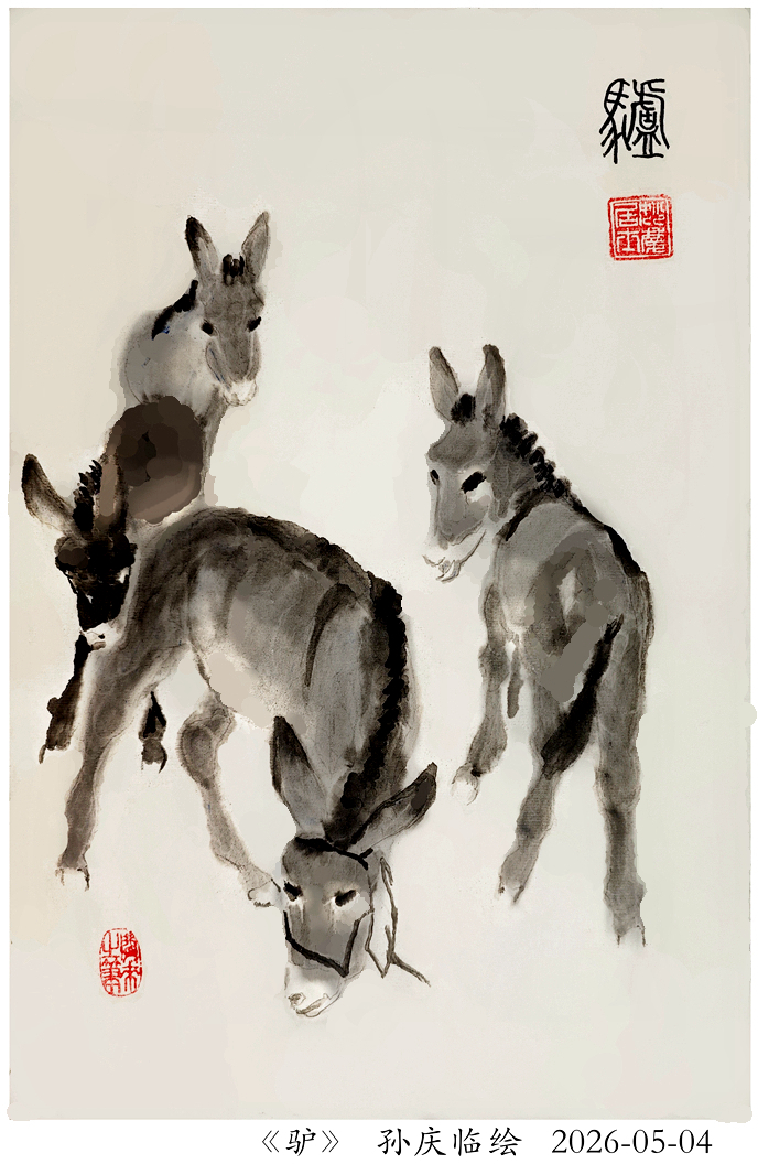 260523-驴.jpg