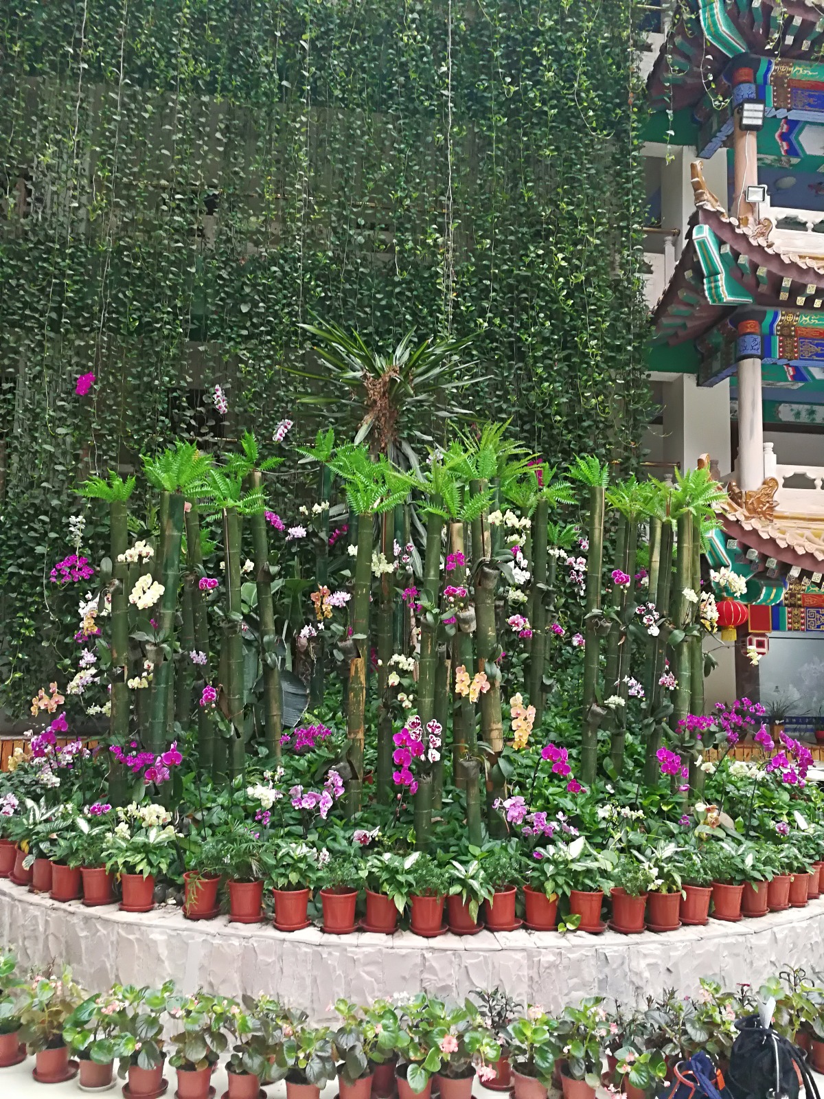 IMG_20180812_082746.jpg