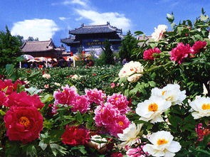 a0f51e77b33fdd4ca15bcbe9e74c67cb.jpg