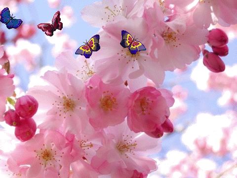 2BC75BDA-E25C-42ED-A6B3-B01215B80186.gif