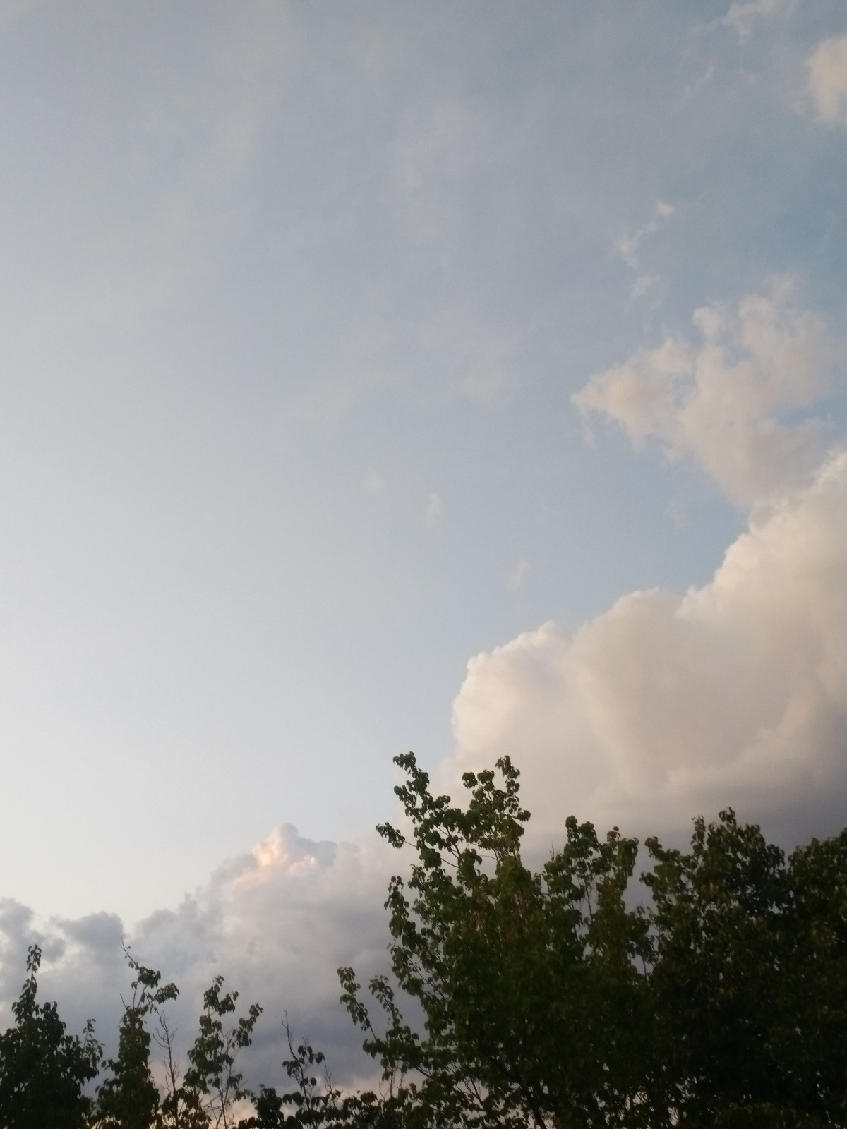 IMG_20190807_205602.jpg