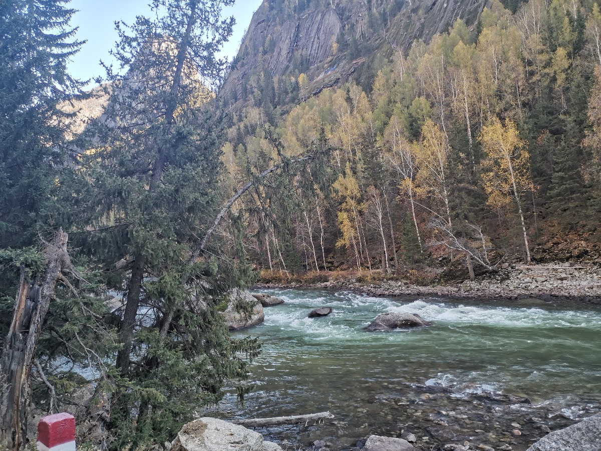 IMG_20191003_153650.jpg