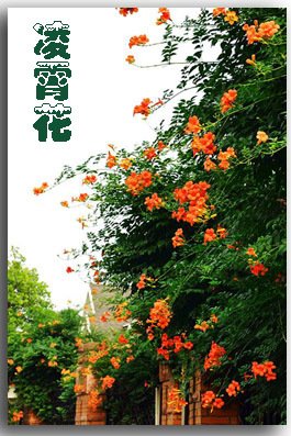 贵州.jpg
