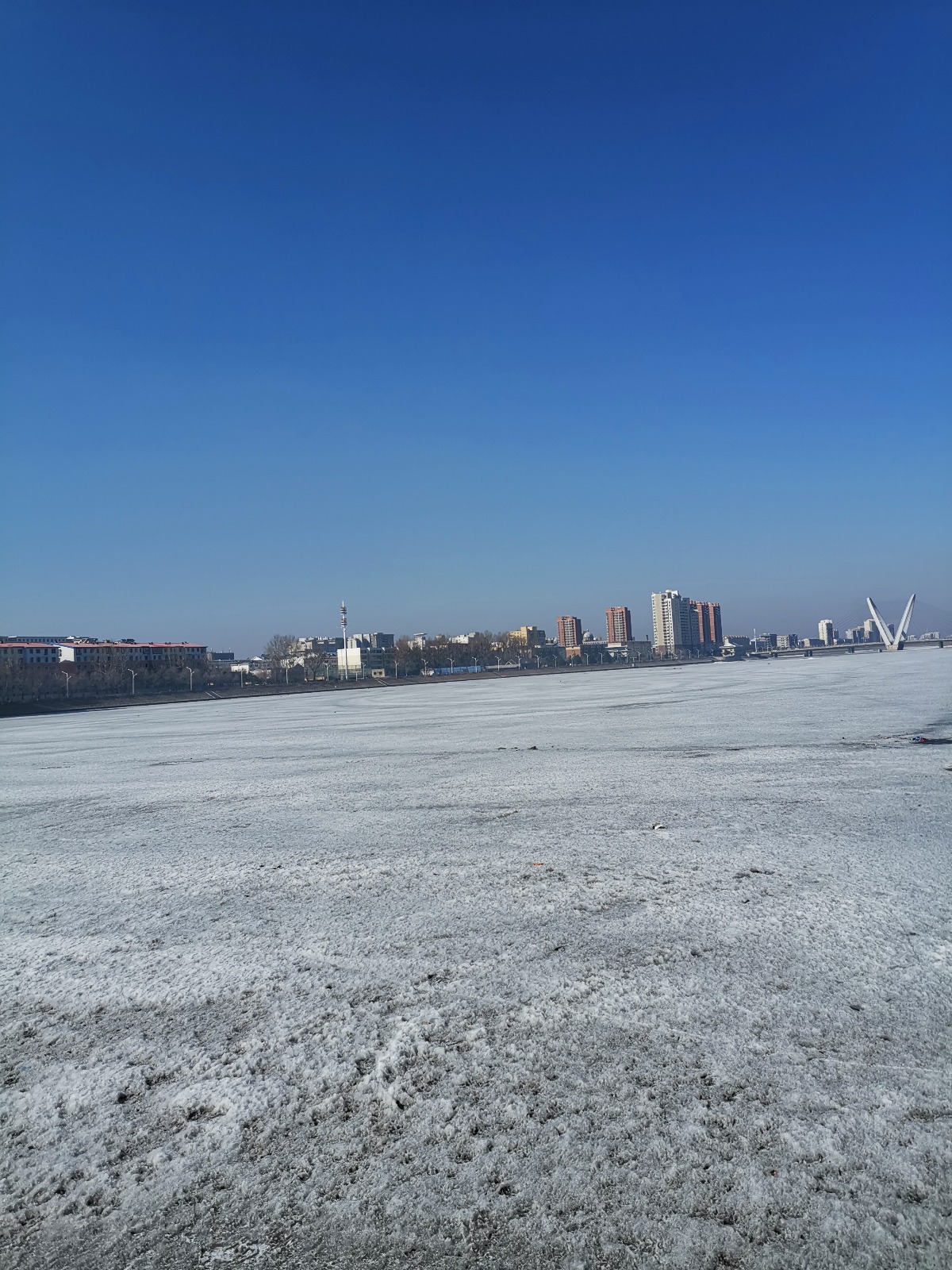 IMG_20200330_085128.jpg
