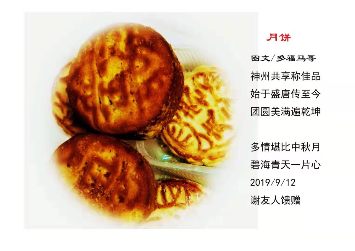 《月饼》 图文/多福马哥(中国)
