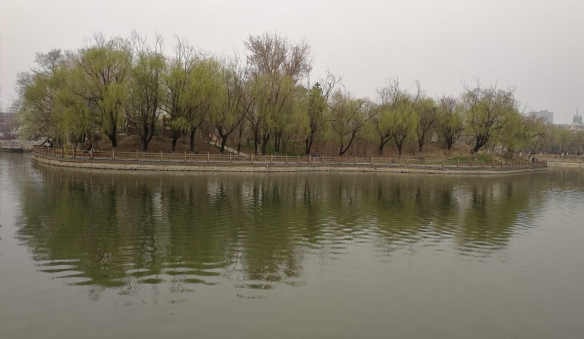 IMG_20200415_161012.jpg