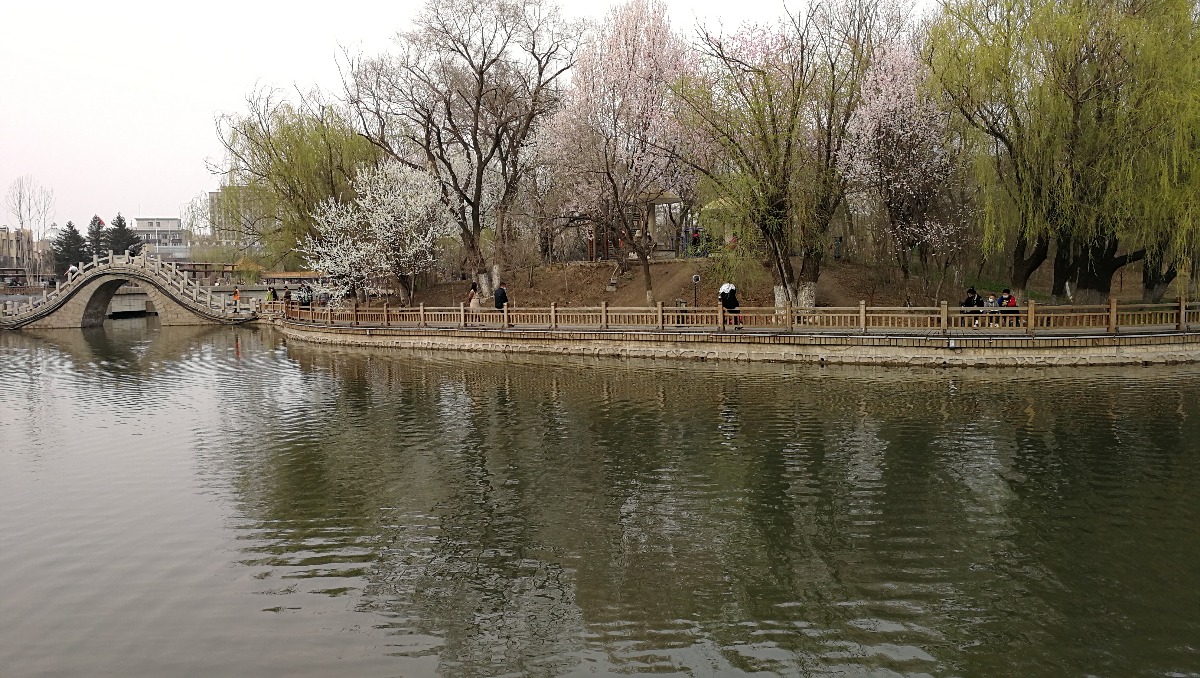 IMG_20200416_155241.jpg