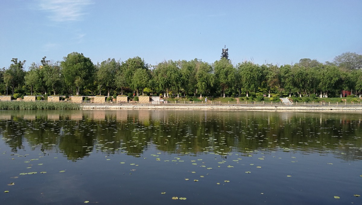 IMG_20200610_161316.jpg