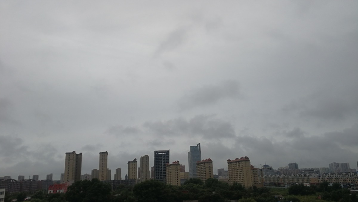 IMG_20200824_150912.jpg