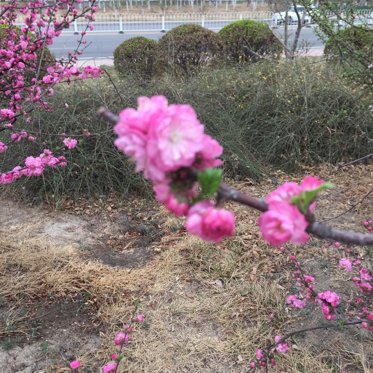 461F8ED5-F47B-440C-8F00-64F7C0311451.jpeg