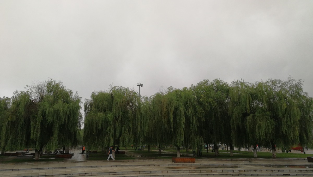IMG_20200901_053852.jpg