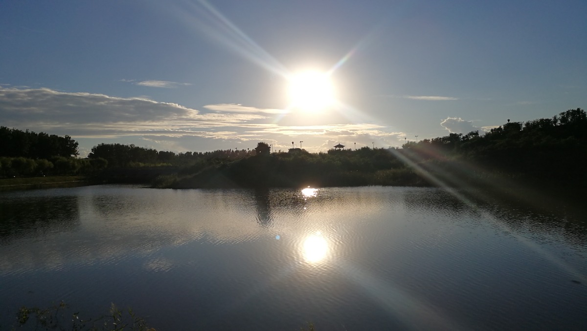 IMG_20200913_165931.jpg