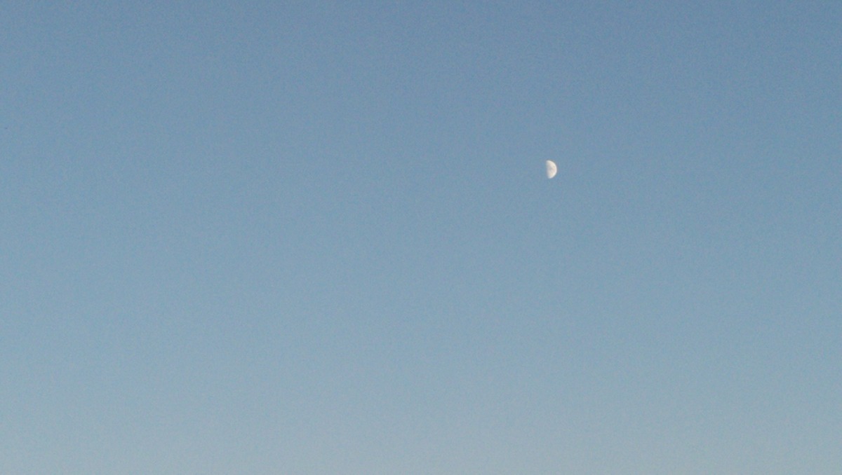 IMG_20201024_163130.jpg