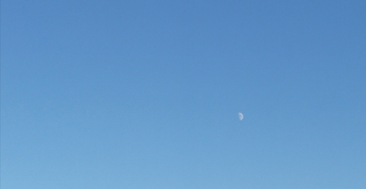 IMG_20201123_151142.jpg