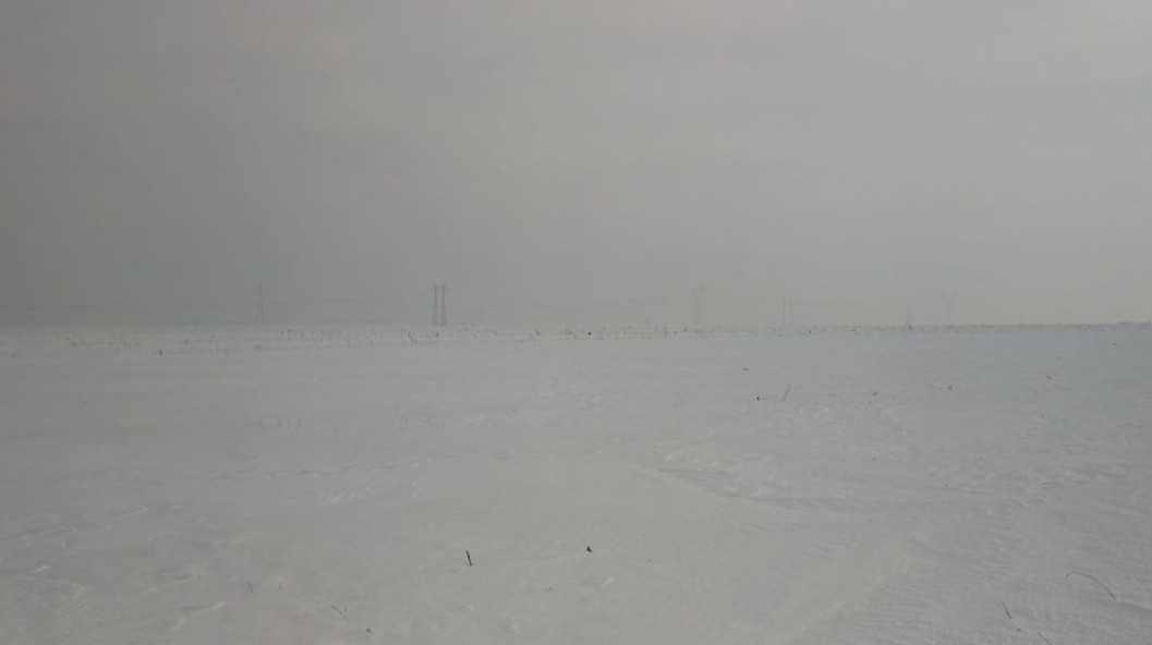 Screenshot_20201202_195551.jpg