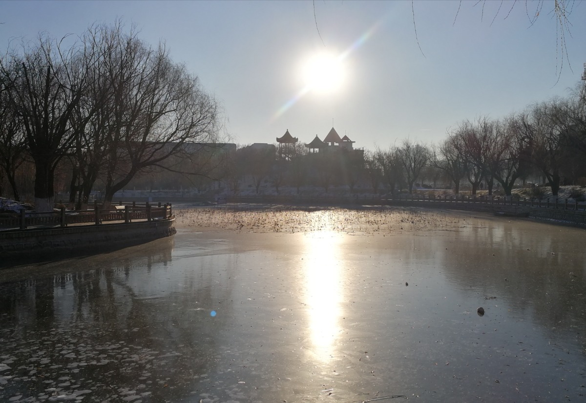 IMG_20201203_082228.jpg