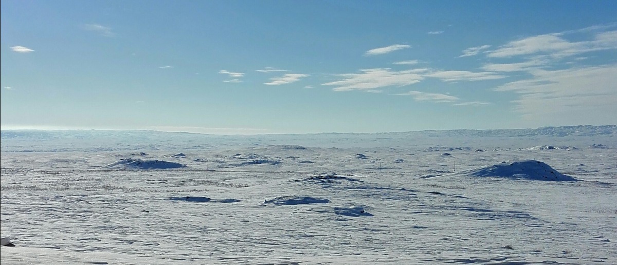 IMG_20201206_182534.jpg
