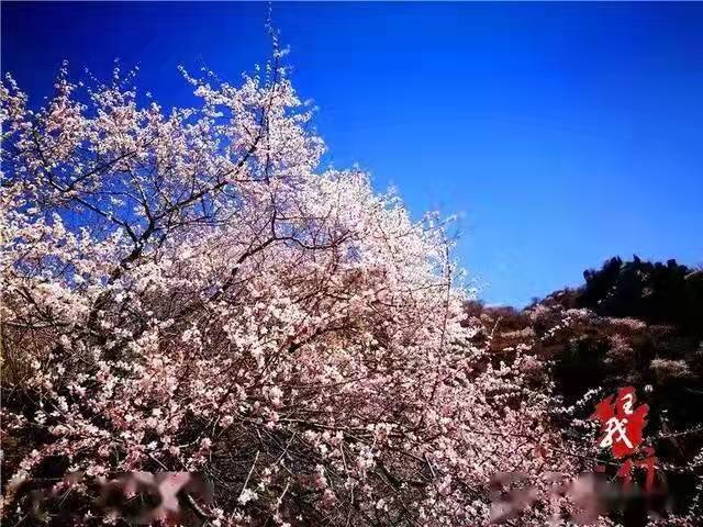 541CB1B7-82DD-4F67-B940-129AB7CA9C85.jpeg