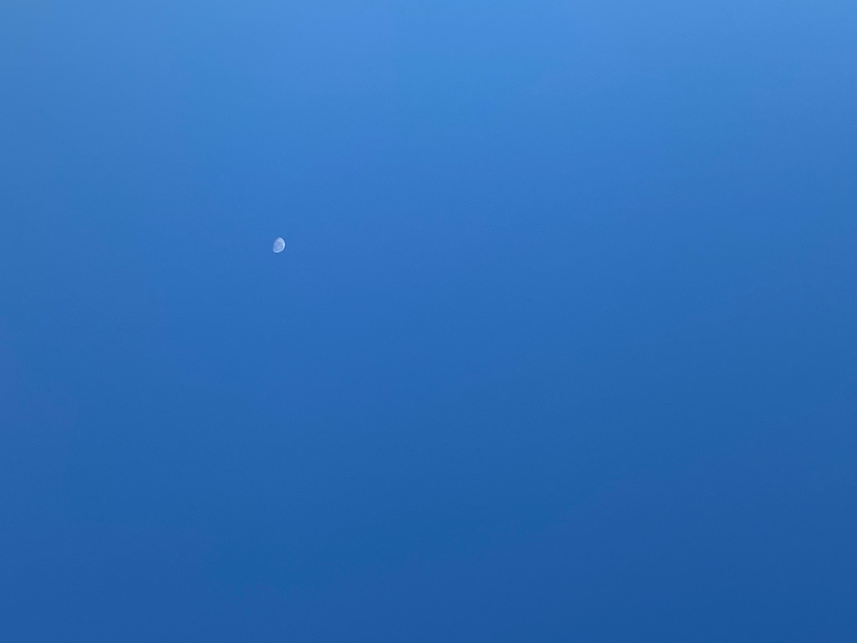083EE8F7-2BF8-4FBD-B03E-2C55EE0ECD60.jpeg