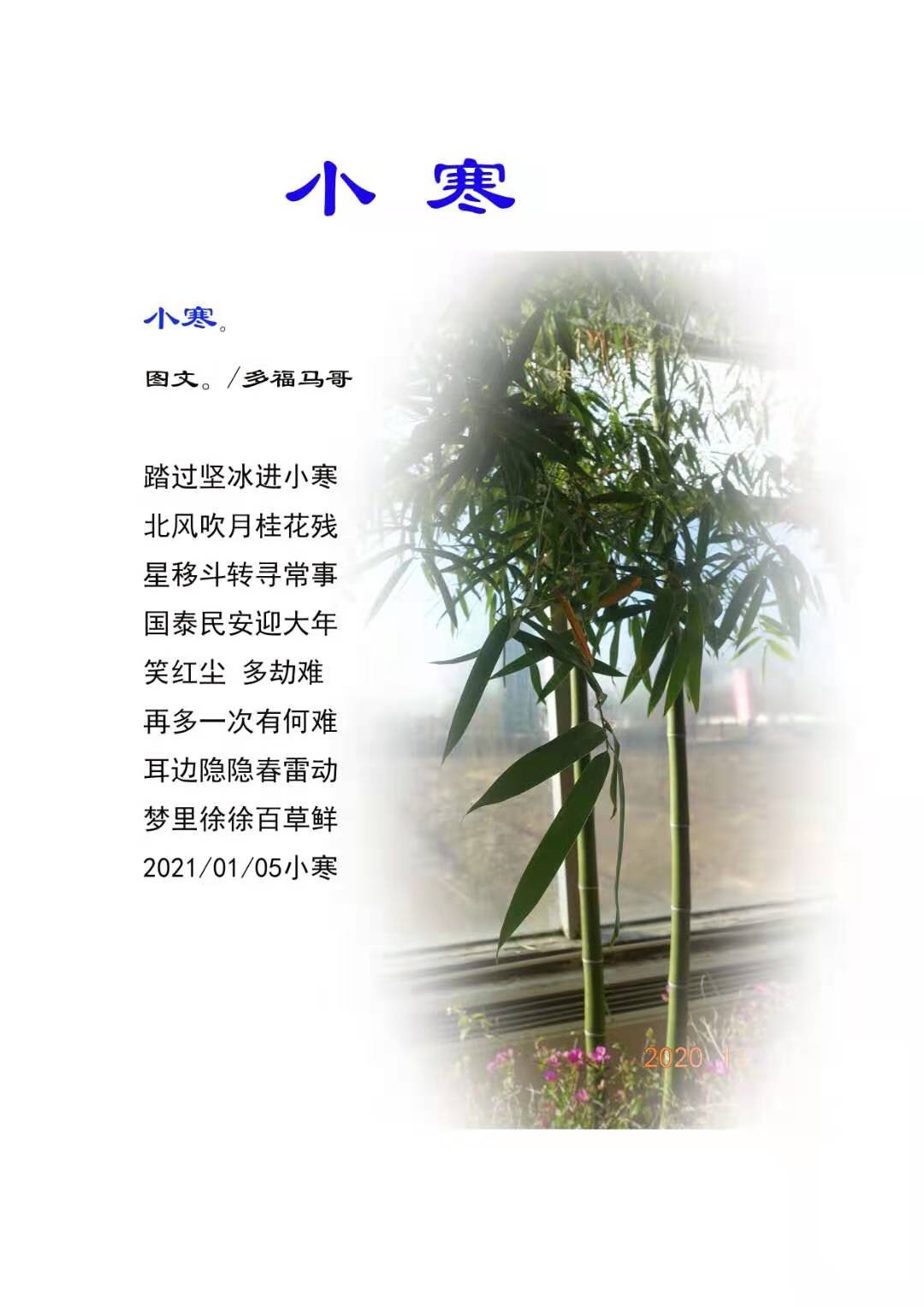 EA7BB31D-23B3-437D-B2C4-0C9030C61E97.jpeg