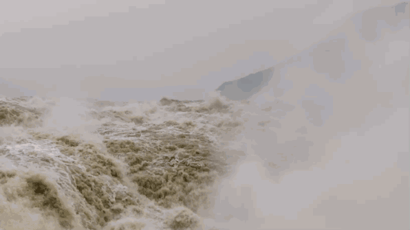 2A576C65-F144-4835-AAA2-F7A97151CC5A.gif
