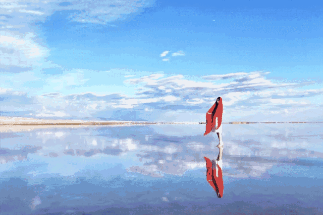 11F8C781-BE11-43AE-90CC-ACECB3D4A5D9.gif