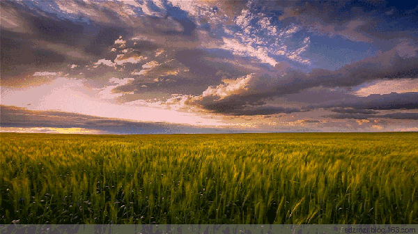 0E988E48-3DFC-49DF-BA0E-80DCD1836229.gif