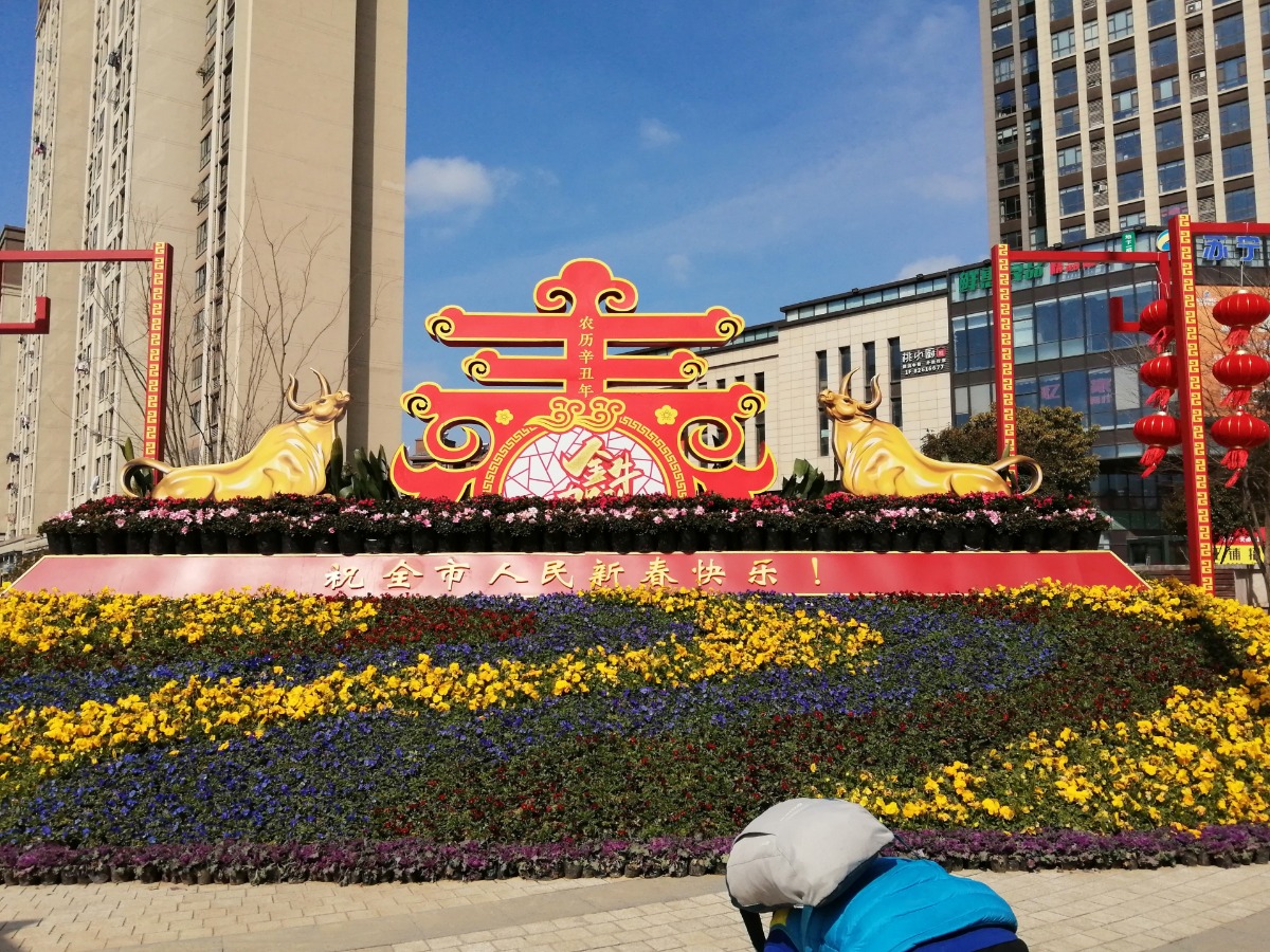 IMG_20210213_130306.jpg