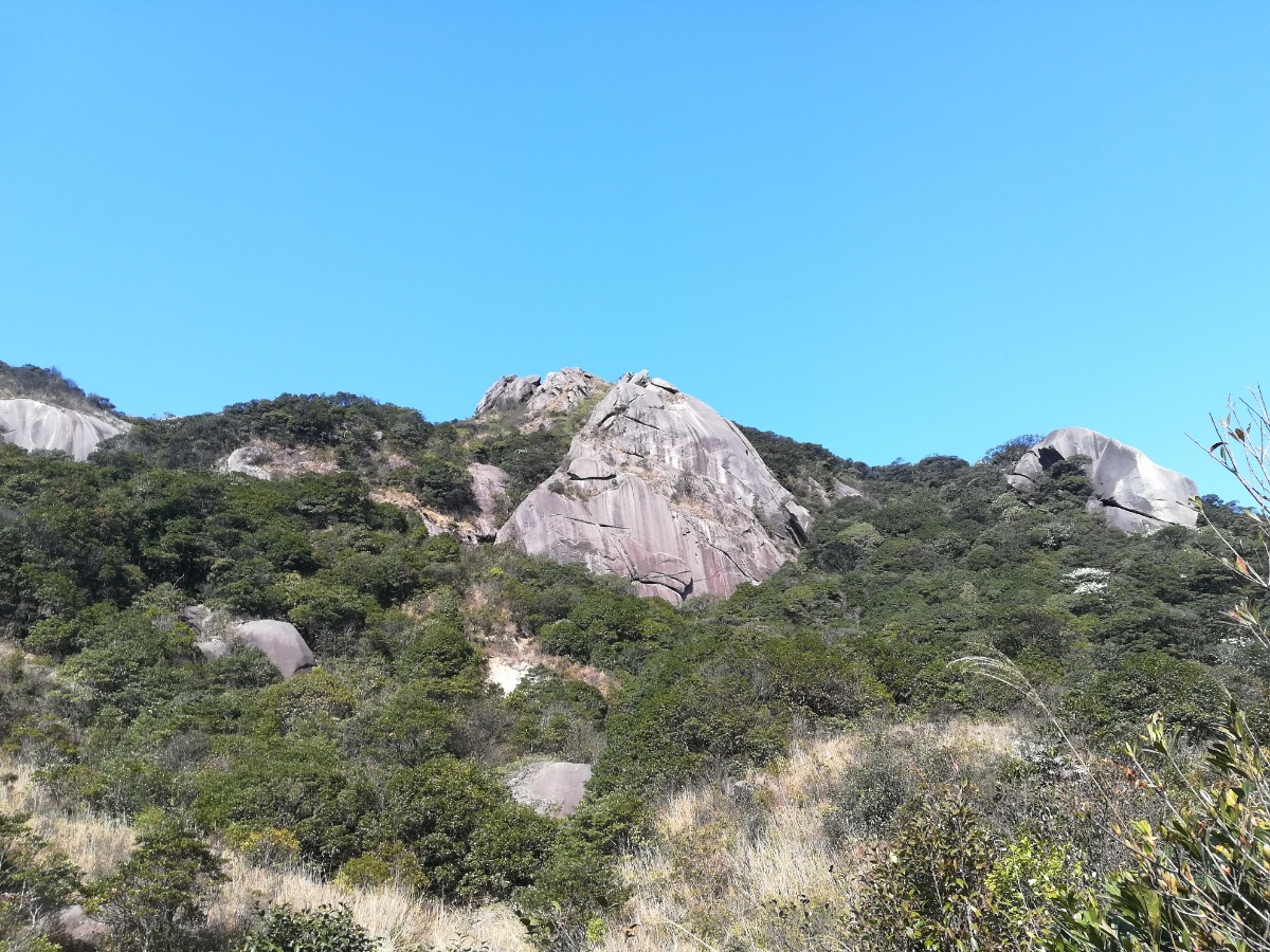 IMG_20210219_145657.jpg