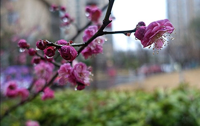 IMG_20210320_123426.jpg