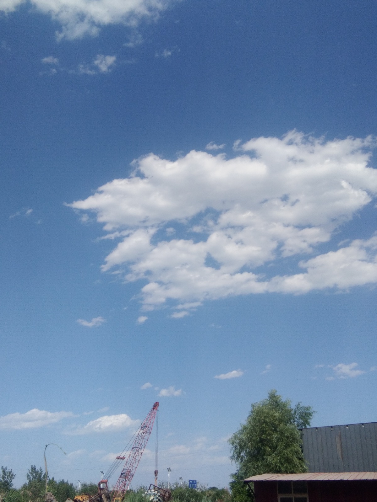 IMG_20210619_153912.jpg