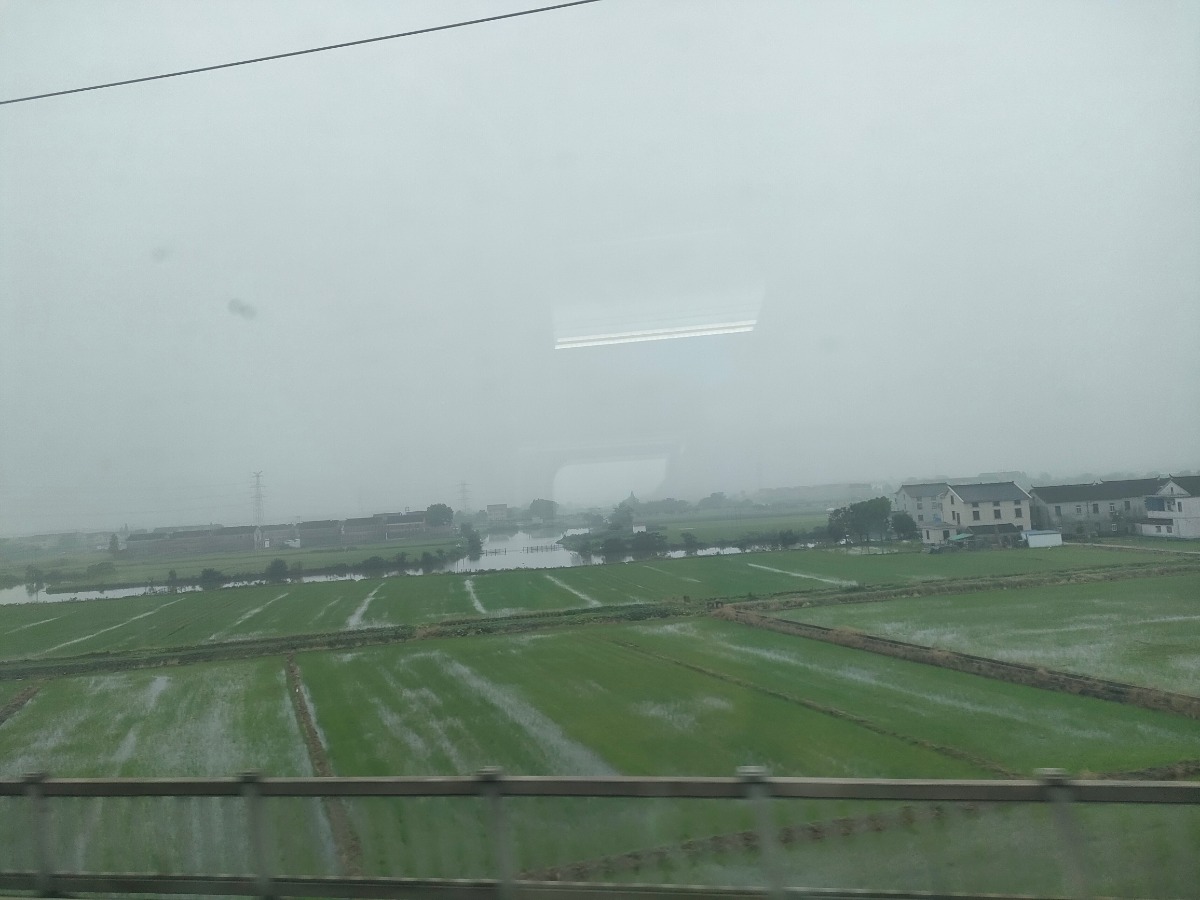 IMG20210705081728.jpg
