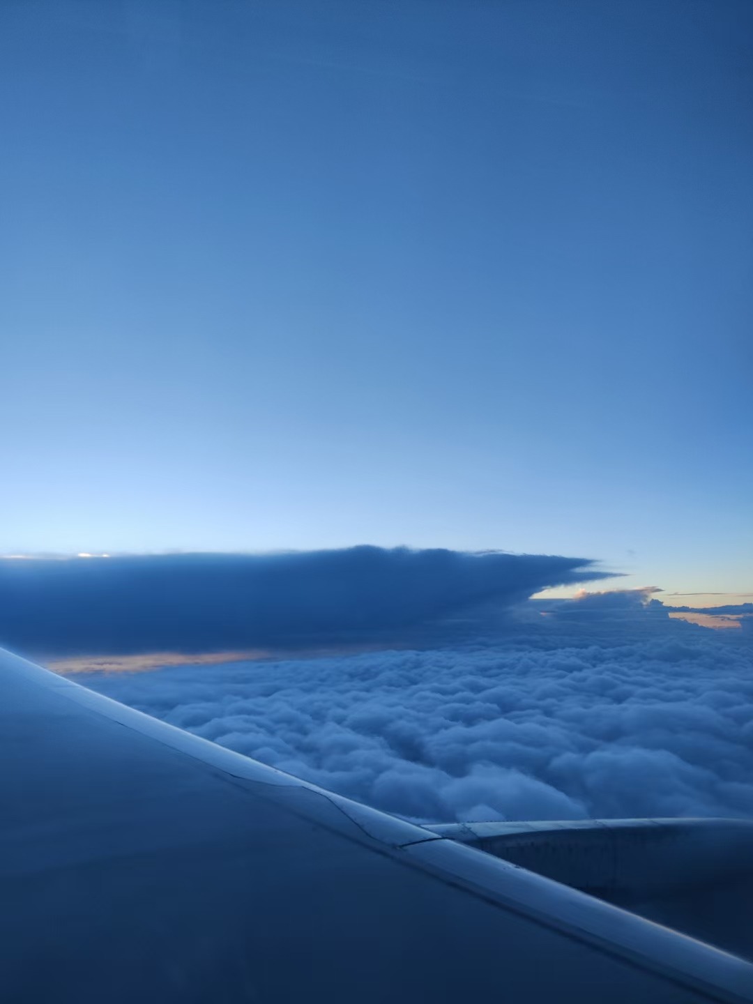 mmexport1627257922608.jpg