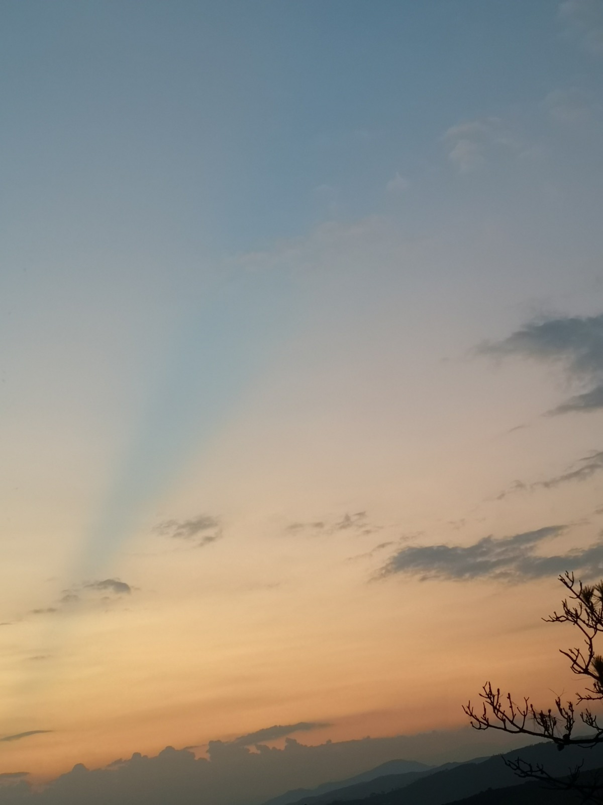 IMG_20210803_201505.jpg